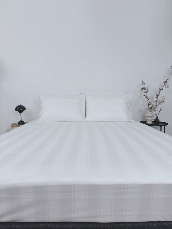 Trang chủ 40 IMG 1024