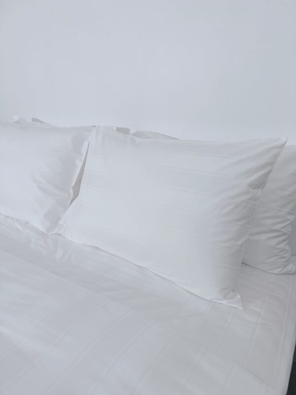 Trang chủ 36 IMG 3216