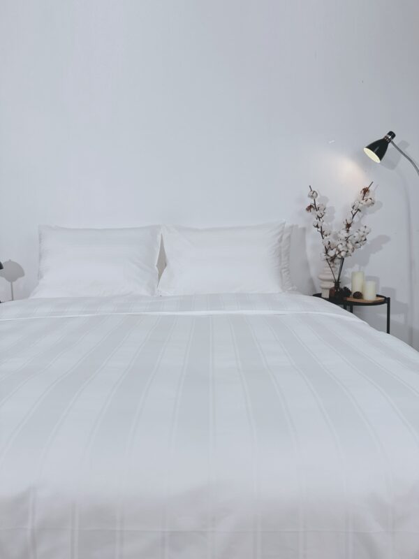 Trang chủ 38 IMG 3259