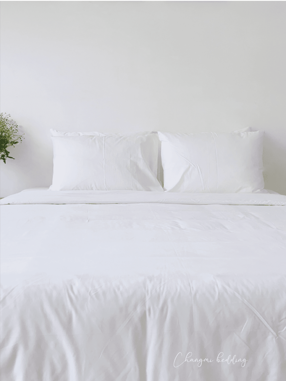 Luxe Cotton Sateen 300TC Basic Set - Image 2