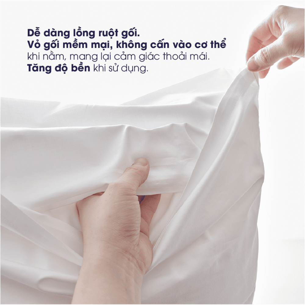 Vỏ Gối Nằm Cotton Sateen 400 sợi - Hình ảnh 7
