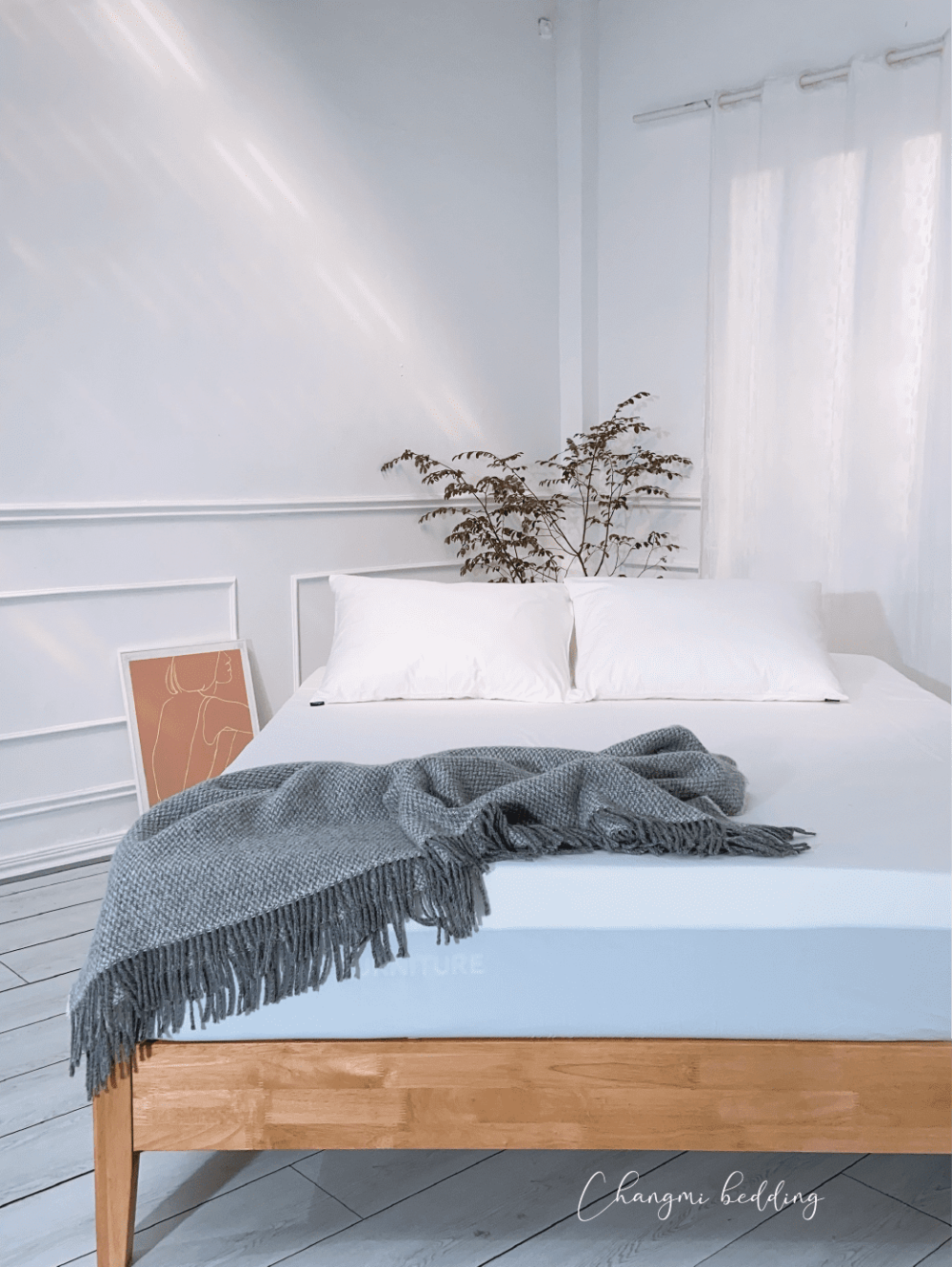 Ga Giường Cotton 250 sợi - Hình ảnh 2