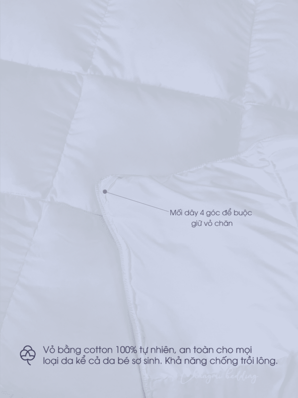 Ruot chan microfiber 05