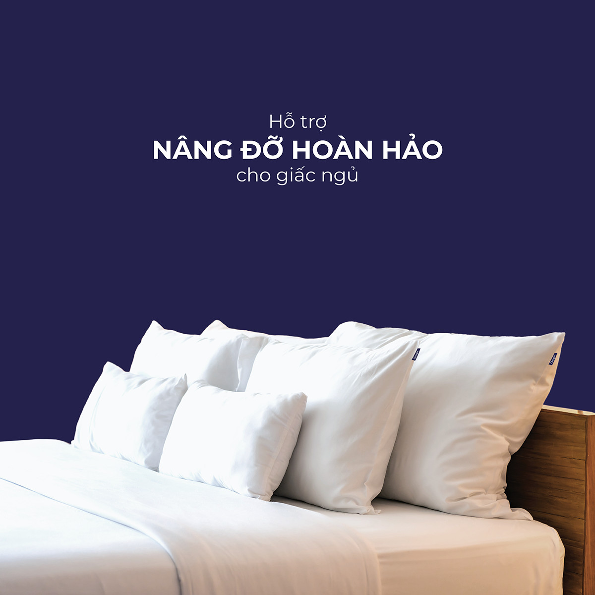 Các loại gối phổ biến hiện nay và cách lựa chọn gối phù hợp 5 Gối lông vũ