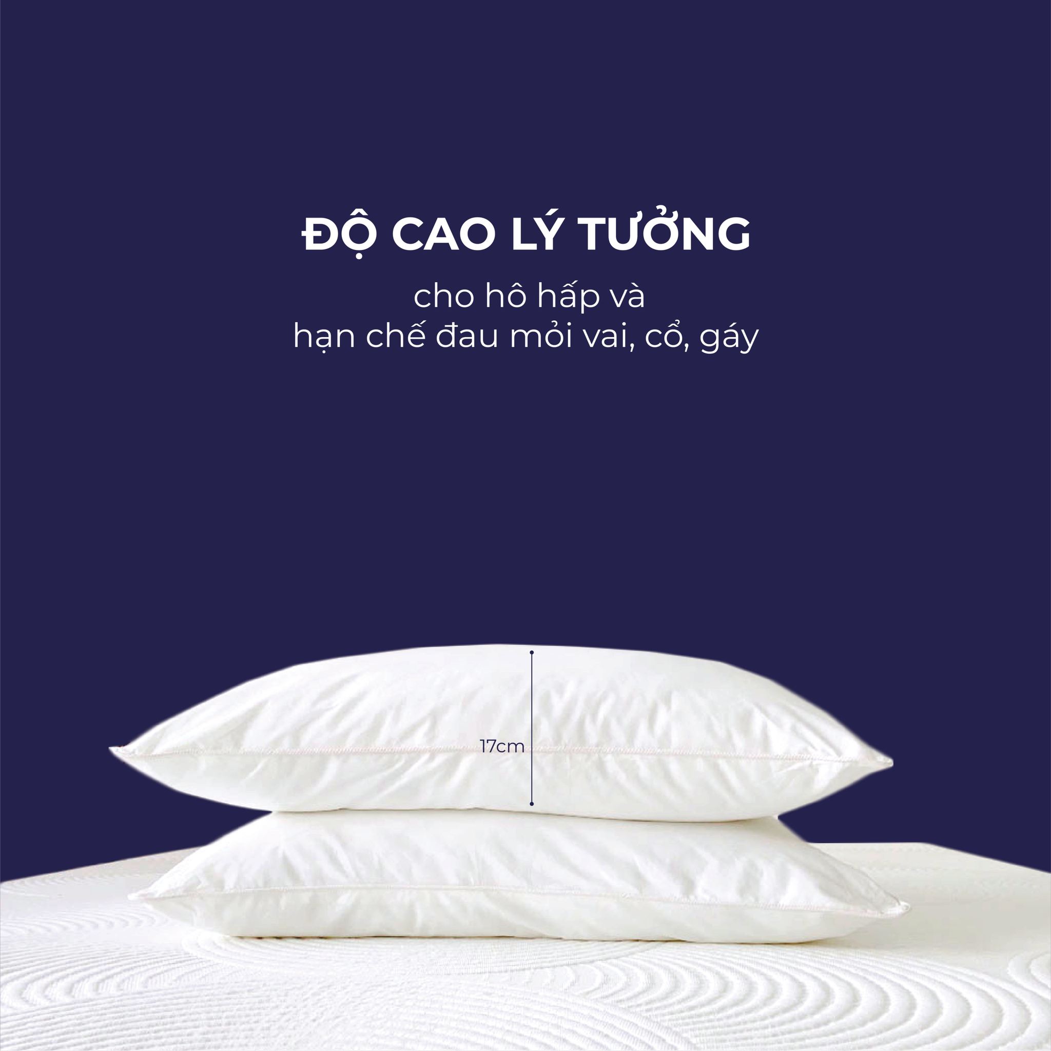Gối lông vũ Changmi Bedding
