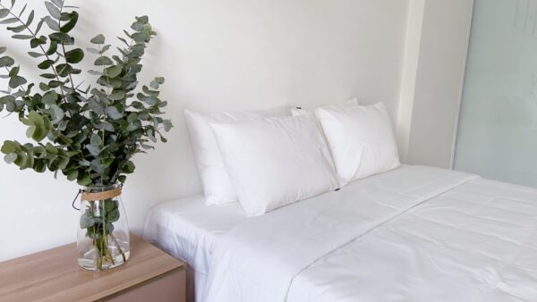 Vỏ chăn Cotton trắng 250 sợi