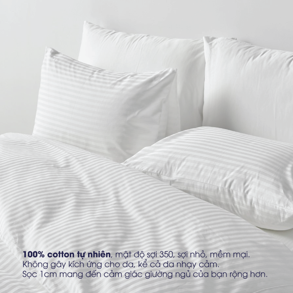 Vỏ Chăn Cotton Sateen 300 sợi sọc 1cm - Hình ảnh 5