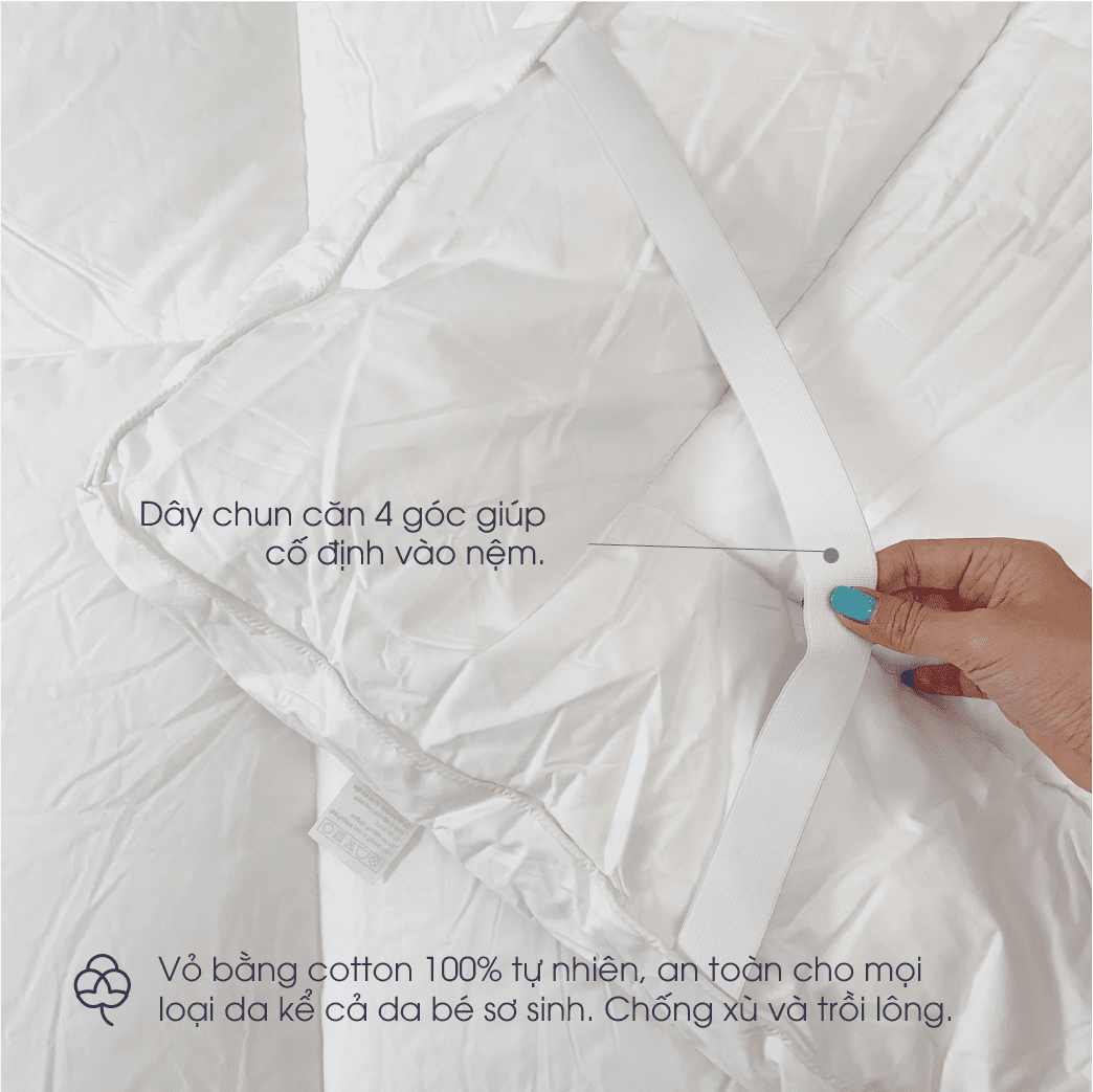 Topper lông vũ nhân tạo Microfiber Changmi Bedding 03