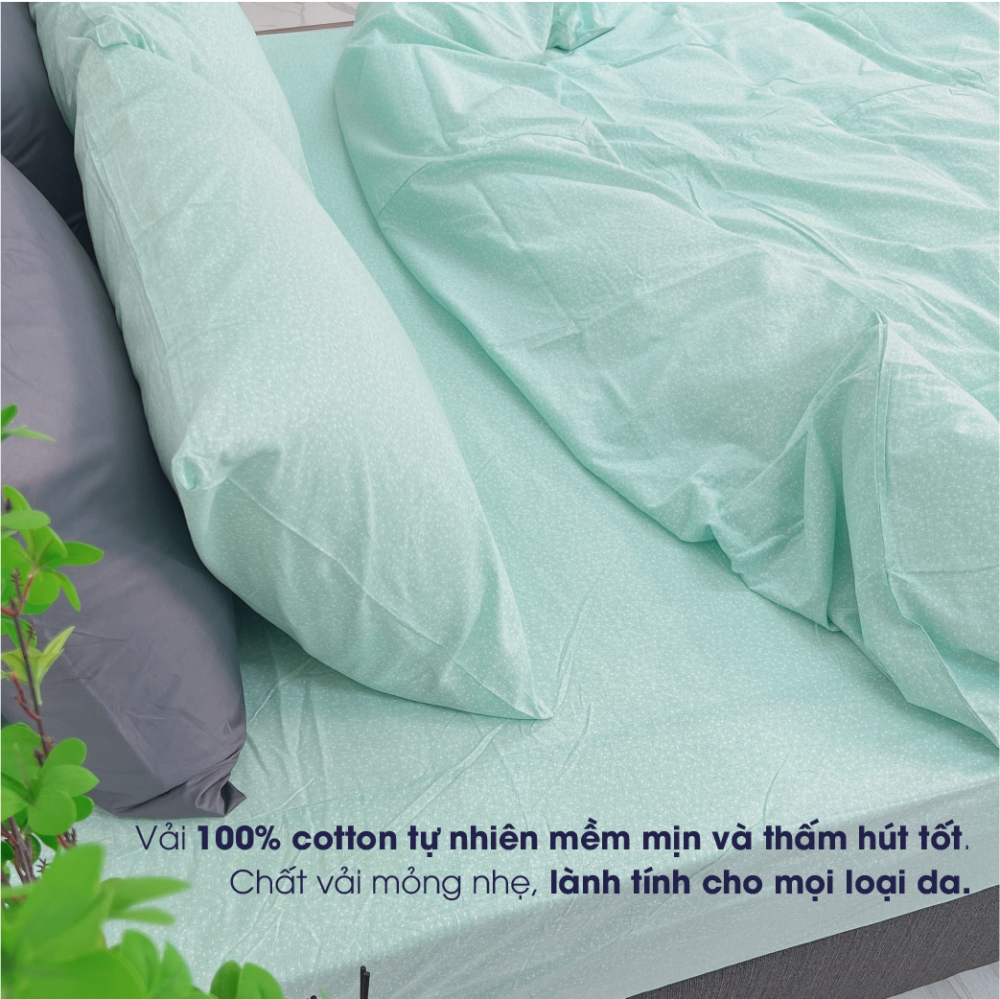 Bộ Chăn Ga Cotton Percale Hàn Quốc CM1019 - Hình ảnh 2