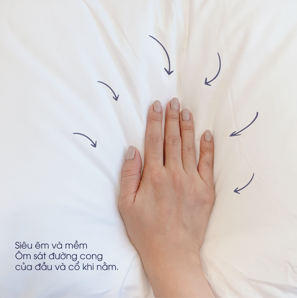 Gối lông vũ là gì? Địa chỉ mua gối lông vũ uy tín nhất hiện nay 6 Gối lông vũ (Changmi)