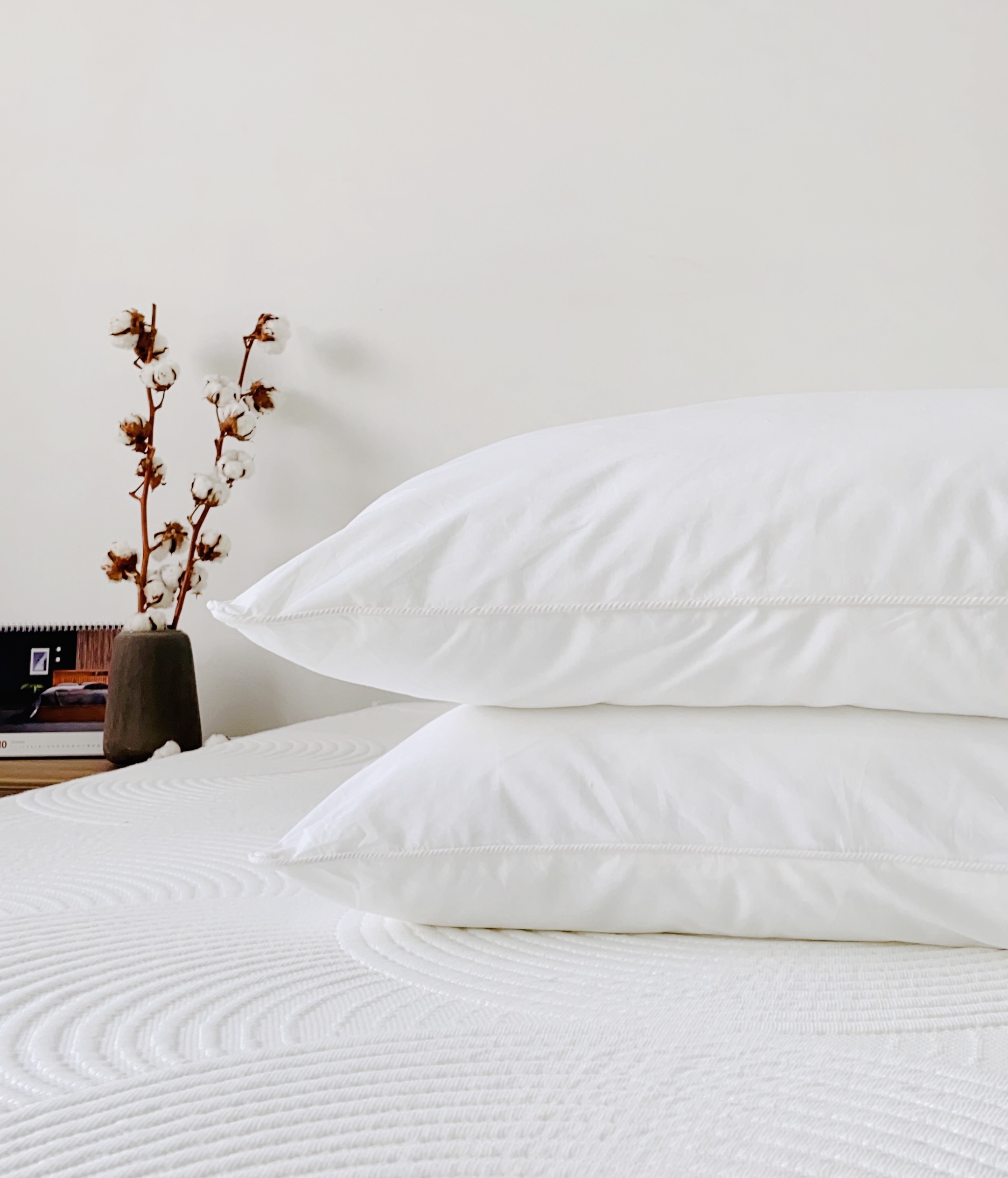 Gối lông vũ là gì? Địa chỉ mua gối lông vũ uy tín nhất hiện nay 7 Gối lông vũ (Changmi)