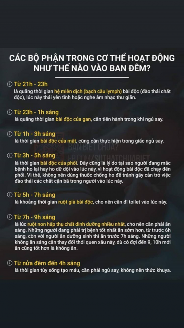 Cách tính thời gian ngủ khoa học làm việc hiệu quả hơn 8 tính thời gian ngủ