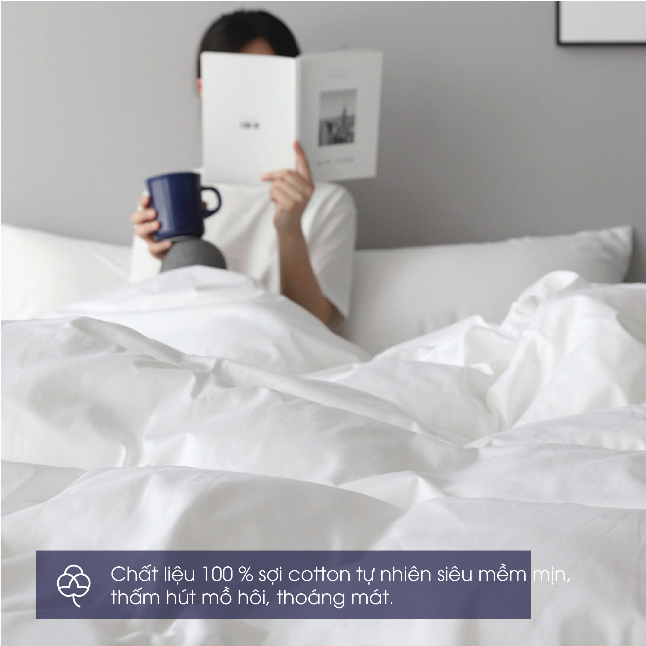 Vải COTTON 100% là gì? Có mát không? Mua chăn ga vải 100% COTTON ở đâu? 10 chăn ga vải cotton 100%