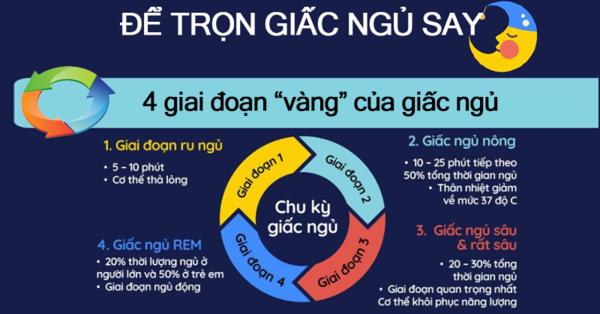 Cách tính thời gian ngủ khoa học làm việc hiệu quả hơn 6 4 giai đoạn của giấc ngủ