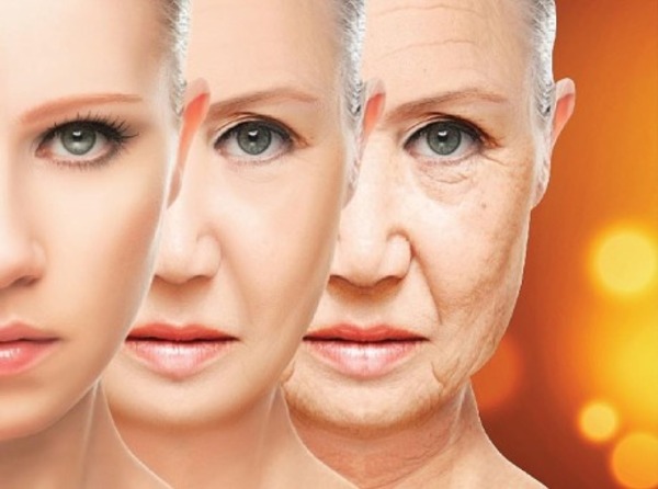Cơ thể thiếu hụt collagen