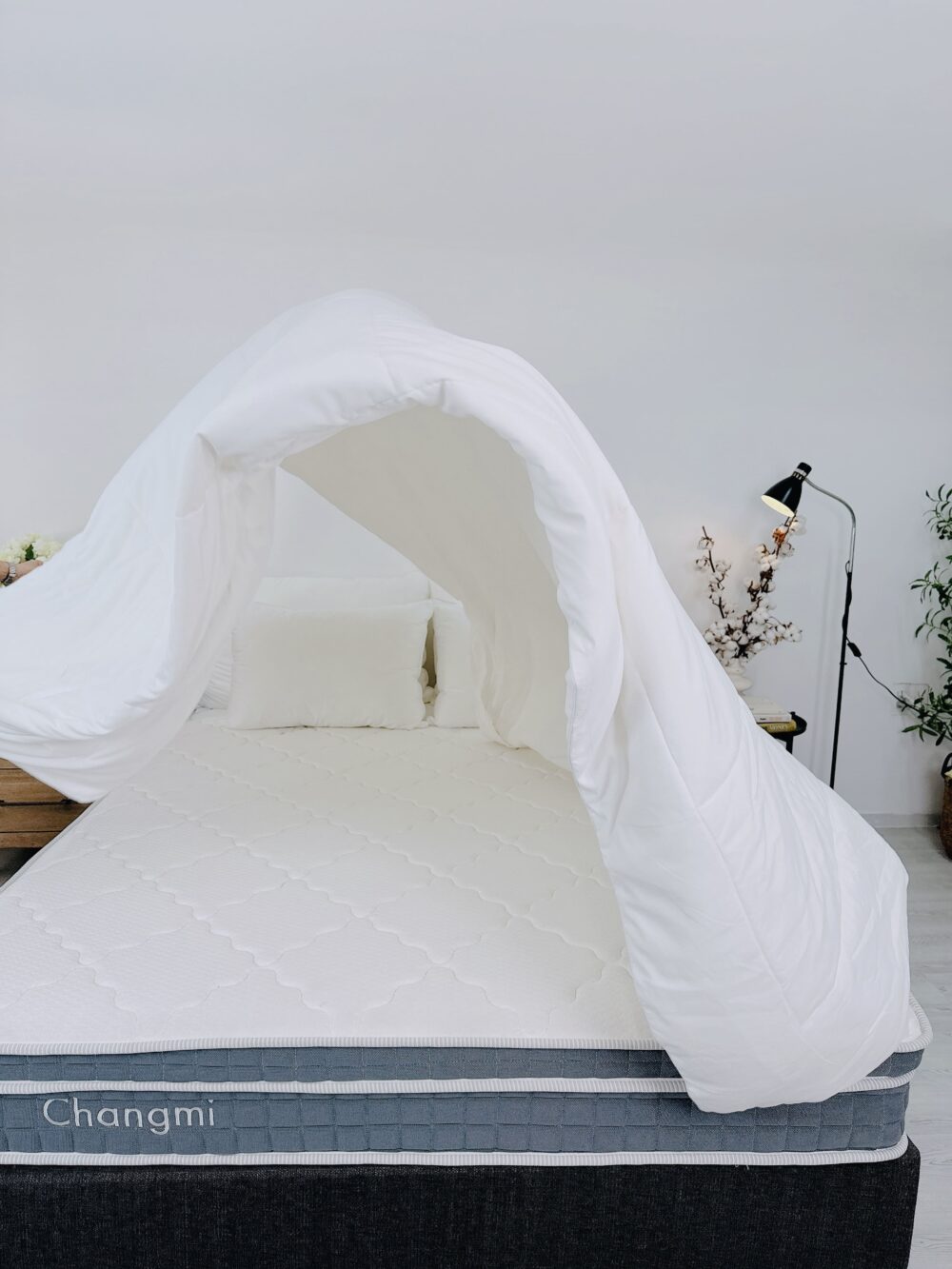 Ruột chăn Cotton mềm mỏng - Ảnh 3