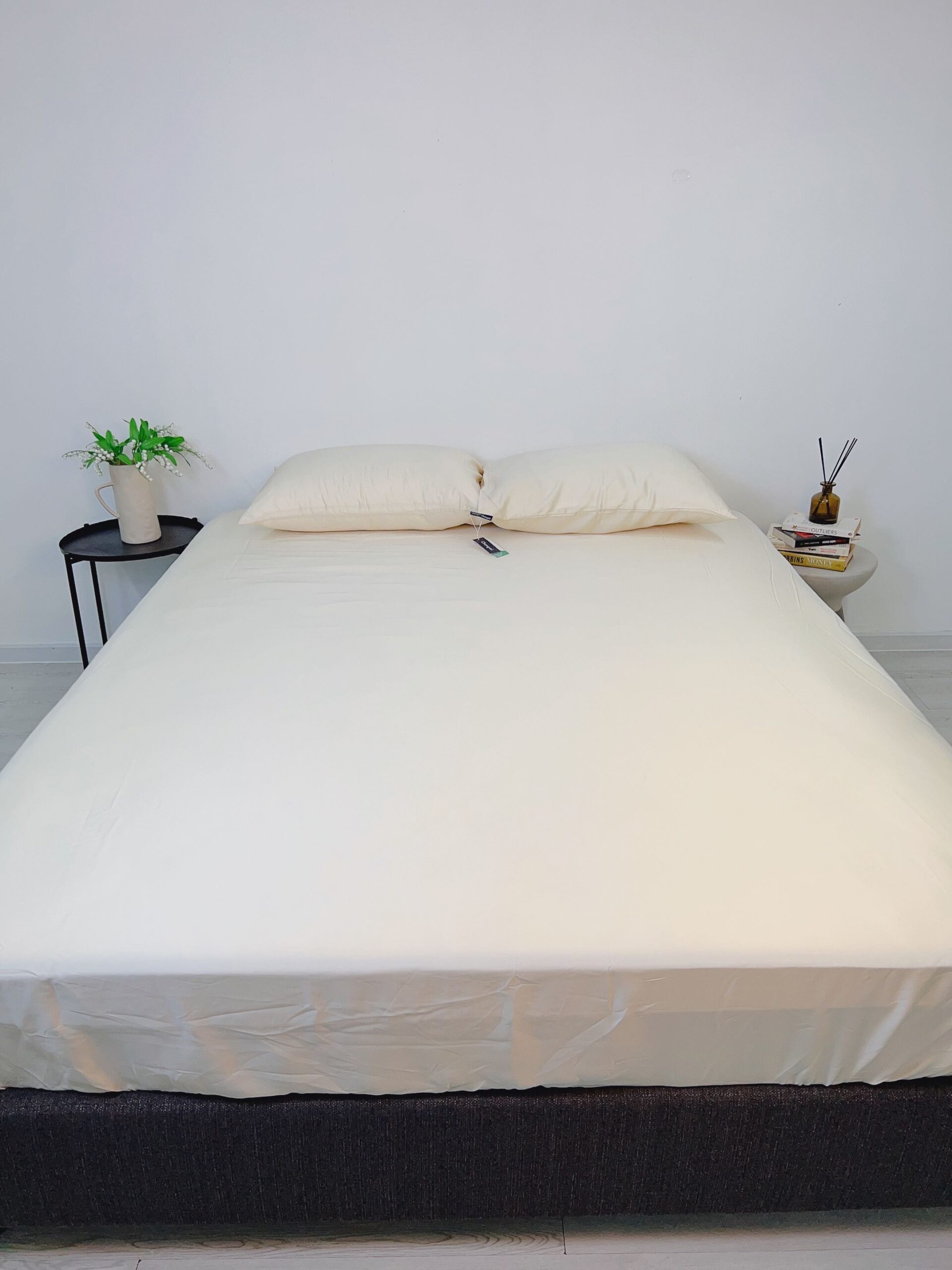 GA GIƯỜNG TENCEL™ LYOCELL CHÂU ÂU CAO CẤP RST110